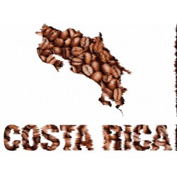 Costa Rica Maze (V. 2021)