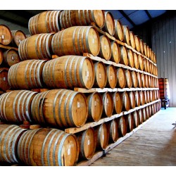 Finca San Jose (Natural/Rum barrel)