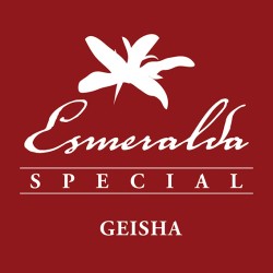 Esmeralda Special - Washed